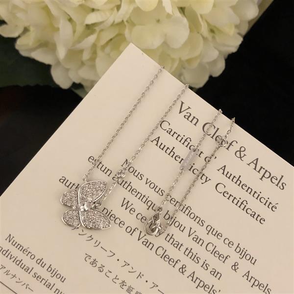 202426145919314 706560